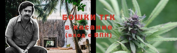 mdpv Богданович