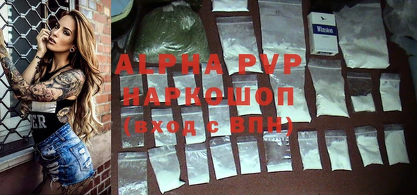 apvp Белокуриха