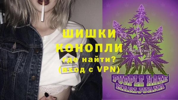 mdpv Богданович