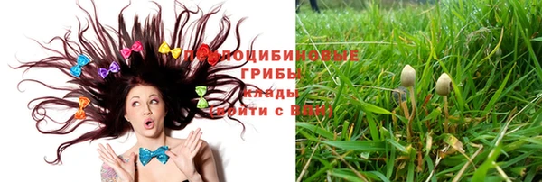 таблы Белоозёрский