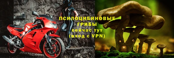 apvp Белокуриха